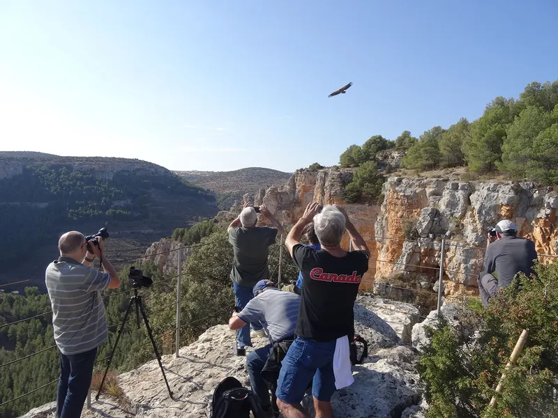 Excursión por las hoces del río Mesa